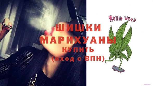 прущие грибы Кулебаки