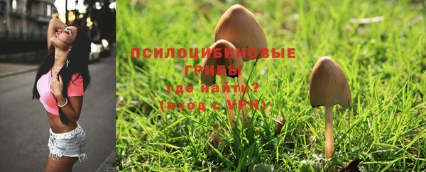 MESCALINE Лагань