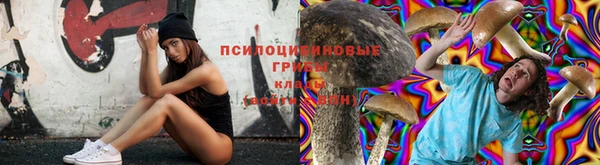 прущий лед Куйбышев