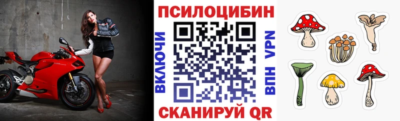 Галлюциногенные грибы Psilocybine cubensis  Купить где  Курчалой 