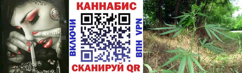 Купить где  Курчалой  МАРИХУАНА SATIVA & INDICA 